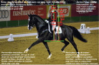 /album/fotogalerij-startpagina/ankyonsalinero-gif/